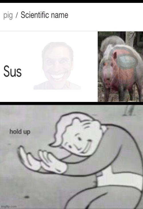 Its called a WHAT | image tagged in fallout hold up,the scientific name of a pig,sus | made w/ Imgflip meme maker