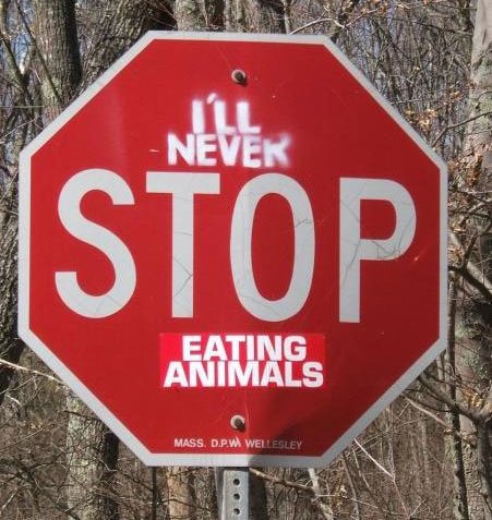 image tagged in funny,signs/billboards