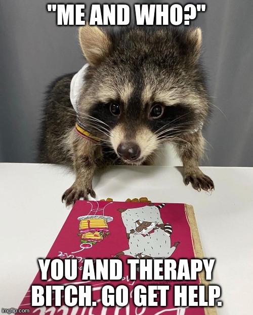 "ME AND WHO?"; YOU AND THERAPY BITCH. GO GET HELP. | image tagged in raccoon | made w/ Imgflip meme maker