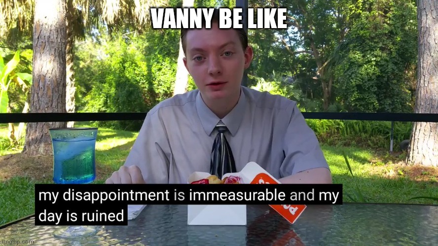My Disappointment Is Immeasurable | VANNY BE LIKE | image tagged in my disappointment is immeasurable | made w/ Imgflip meme maker