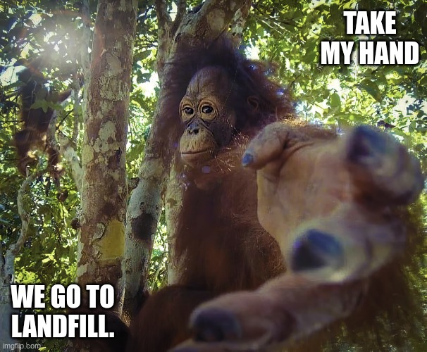 Return to monke (clean version) | TAKE MY HAND WE GO TO LANDFILL. | image tagged in return to monke clean version | made w/ Imgflip meme maker