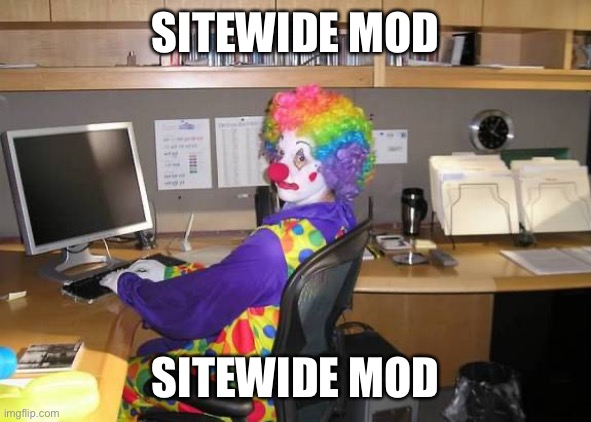 clown computer | SITEWIDE MOD SITEWIDE MOD | image tagged in clown computer | made w/ Imgflip meme maker