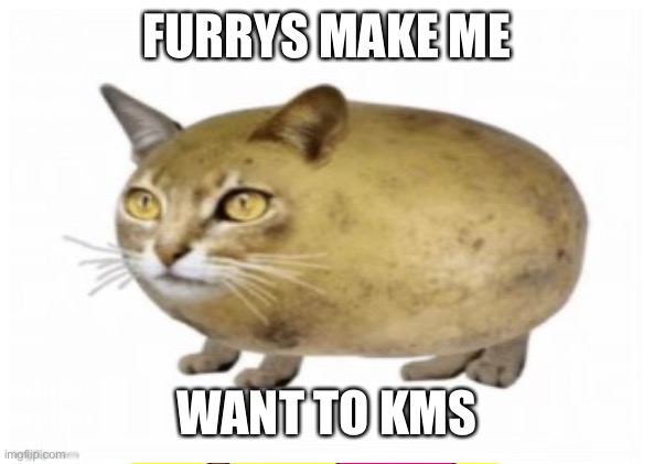 I hate furrys | FURRYS MAKE ME; WANT TO KMS | made w/ Imgflip meme maker