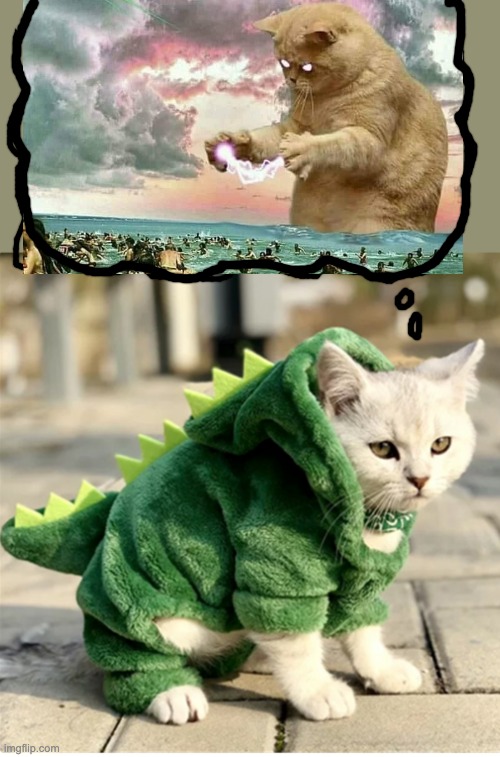 Mrrrr | image tagged in cat,kitten,cute,godzilla,catzilla | made w/ Imgflip meme maker