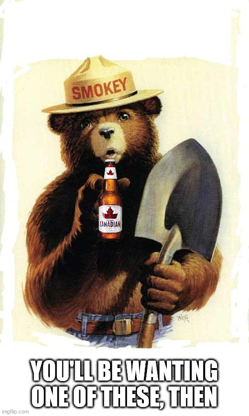 Smokey The Bear | YOU'LL BE WANTING ONE OF THESE, THEN | image tagged in smokey the bear | made w/ Imgflip meme maker