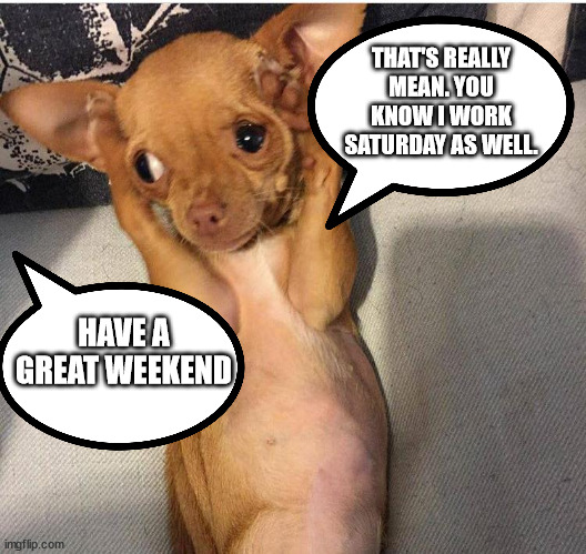 Dog covers ears | HAVE A GREAT WEEKEND THAT'S REALLY MEAN. YOU KNOW I WORK SATURDAY AS WELL. | image tagged in dog covers ears | made w/ Imgflip meme maker