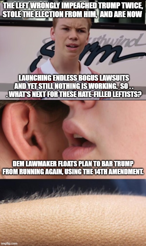 Being FILLED with hate . . . the Left KNOWS . . . hate. | THE LEFT WRONGLY IMPEACHED TRUMP TWICE, STOLE THE ELECTION FROM HIM,  AND ARE NOW; LAUNCHING ENDLESS BOGUS LAWSUITS AND YET STILL NOTHING IS WORKING.  SO . . . WHAT'S NEXT FOR THESE HATE-FILLED LEFTISTS? DEM LAWMAKER FLOATS PLAN TO BAR TRUMP FROM RUNNING AGAIN, USING THE 14TH AMENDMENT. | image tagged in you guys are getting paid | made w/ Imgflip meme maker