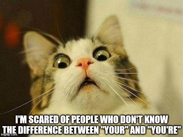 Scared Cat Meme | I'M SCARED OF PEOPLE WHO DON'T KNOW THE DIFFERENCE BETWEEN "YOUR" AND "YOU'RE" | image tagged in memes,scared cat | made w/ Imgflip meme maker