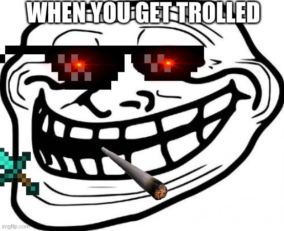 when you are trolled | WHEN YOU GET TROLLED | image tagged in memes,troll face | made w/ Imgflip meme maker