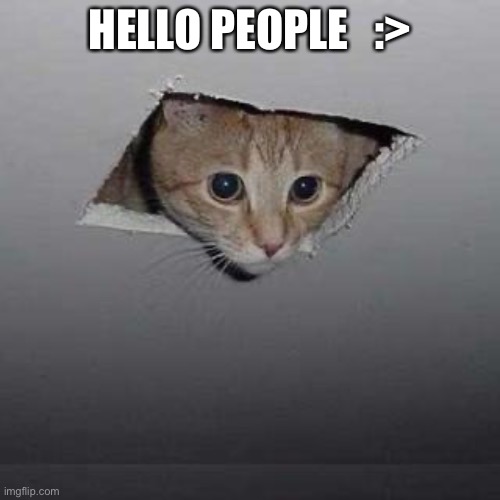 Ceiling Cat | HELLO PEOPLE   :> | image tagged in memes,ceiling cat | made w/ Imgflip meme maker