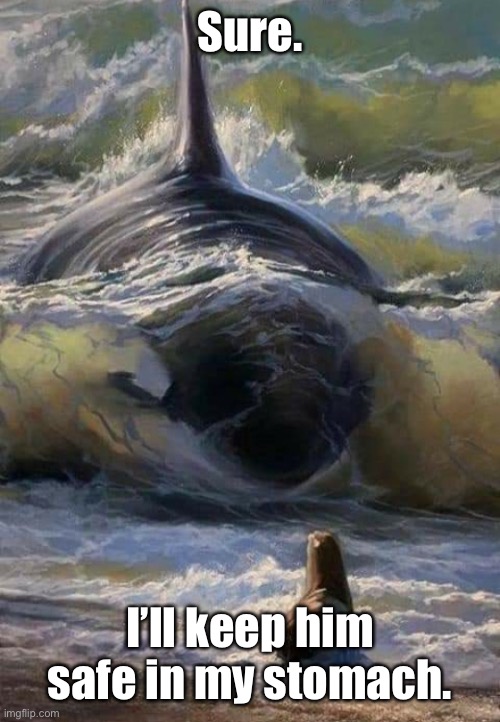 Killer whale eats seal | Sure. I’ll keep him safe in my stomach. | image tagged in killer whale eats seal | made w/ Imgflip meme maker