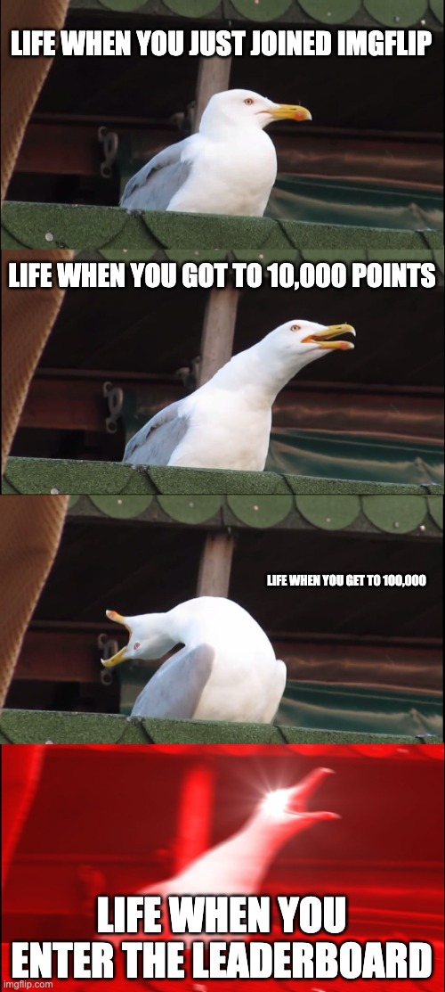 Inhaling Seagull | LIFE WHEN YOU JUST JOINED IMGFLIP; LIFE WHEN YOU GOT TO 10,000 POINTS; LIFE WHEN YOU GET TO 100,000; LIFE WHEN YOU ENTER THE LEADERBOARD | image tagged in memes,inhaling seagull | made w/ Imgflip meme maker