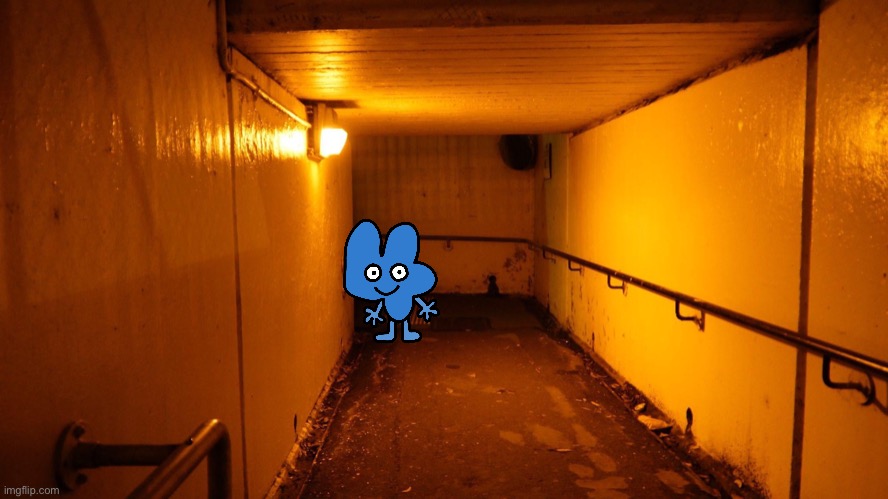 Liminal Space Corridor | image tagged in liminal space corridor | made w/ Imgflip meme maker
