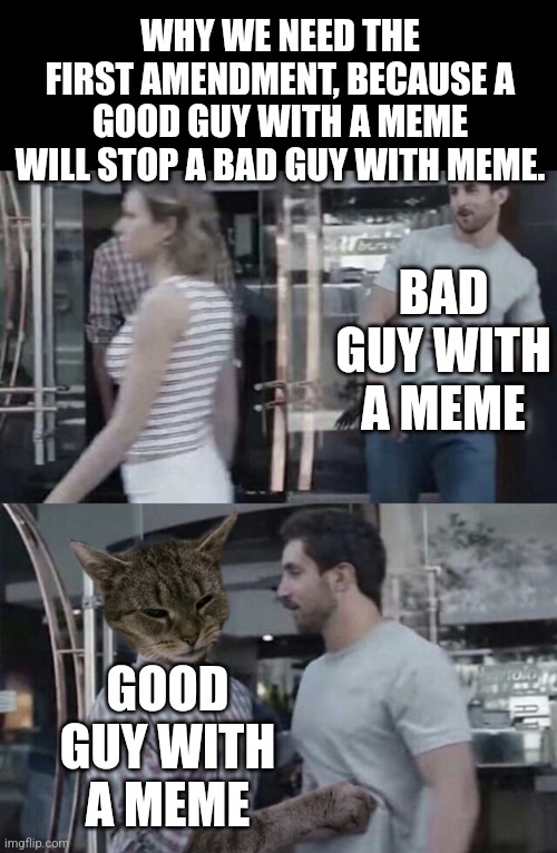 Cat stopping guy | WHY WE NEED THE FIRST AMENDMENT, BECAUSE A GOOD GUY WITH A MEME WILL STOP A BAD GUY WITH MEME. BAD GUY WITH A MEME; GOOD GUY WITH A MEME | image tagged in cat stopping guy | made w/ Imgflip meme maker