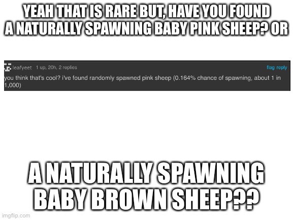 Blank White Template | YEAH THAT IS RARE BUT, HAVE YOU FOUND A NATURALLY SPAWNING BABY PINK SHEEP? OR; A NATURALLY SPAWNING BABY BROWN SHEEP?? | image tagged in blank white template | made w/ Imgflip meme maker