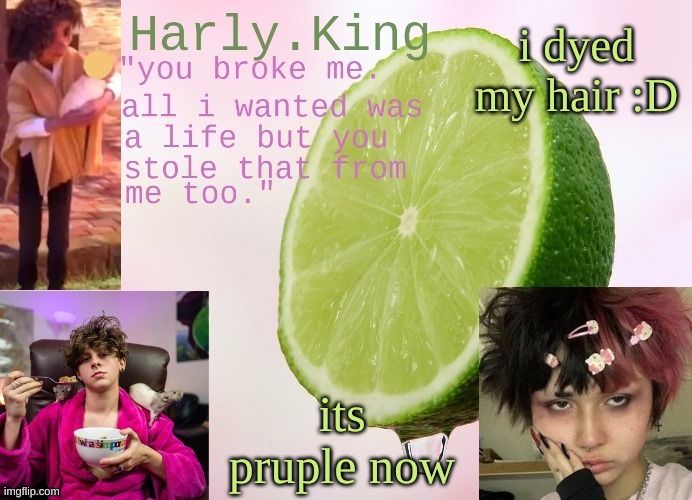 lmao. cant spell | i dyed my hair :D; its pruple now | image tagged in temp by tripp | made w/ Imgflip meme maker