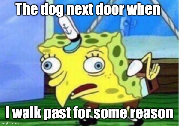 Dogs go crazy | The dog next door when; I walk past for some reason | image tagged in memes,mocking spongebob,dog,barking,idiot | made w/ Imgflip meme maker