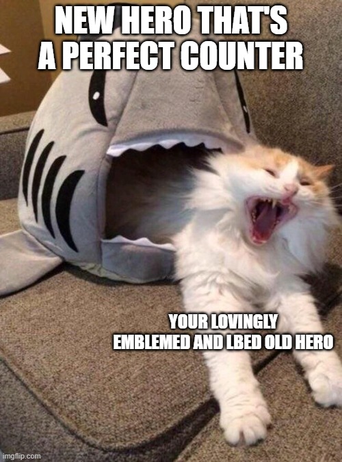 scared cat | NEW HERO THAT'S A PERFECT COUNTER; YOUR LOVINGLY EMBLEMED AND LBED OLD HERO | image tagged in scared cat | made w/ Imgflip meme maker