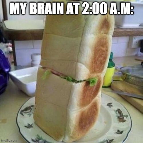 Samwich | MY BRAIN AT 2:00 A.M: | image tagged in my brain at,samwich | made w/ Imgflip meme maker