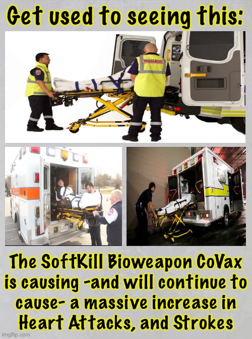 This will happen MILLIONS of times, in coming years | Get used to seeing this:; The SoftKill Bioweapon CoVax
is causing -and will continue to
cause- a massive increase in
Heart Attacks, and Strokes | image tagged in memes,the cost of your mistake,and you want to force everyone into this,you were gullible or stupid and arrogant,sorry see ya | made w/ Imgflip meme maker