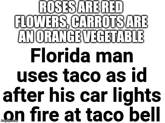 Blank White Template | ROSES ARE RED FLOWERS, CARROTS ARE AN ORANGE VEGETABLE; Florida man uses taco as id after his car lights on fire at taco bell | image tagged in florida man,poetry,florida,taco bell,taco | made w/ Imgflip meme maker