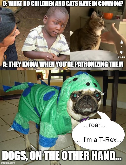 dogs were dignified once... | Q: WHAT DO CHILDREN AND CATS HAVE IN COMMON? A: THEY KNOW WHEN YOU'RE PATRONIZING THEM; DOGS, ON THE OTHER HAND... | image tagged in memes,third world skeptical kid,skeptical cat,dogs,cat,cats | made w/ Imgflip meme maker