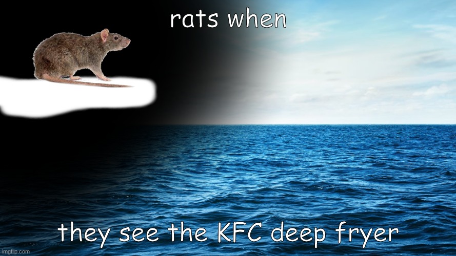 rats when; they see the KFC deep fryer | image tagged in fun,kfc | made w/ Imgflip meme maker