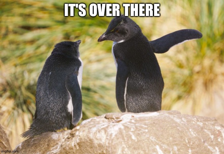 It's over there | IT'S OVER THERE | image tagged in it's over there | made w/ Imgflip meme maker