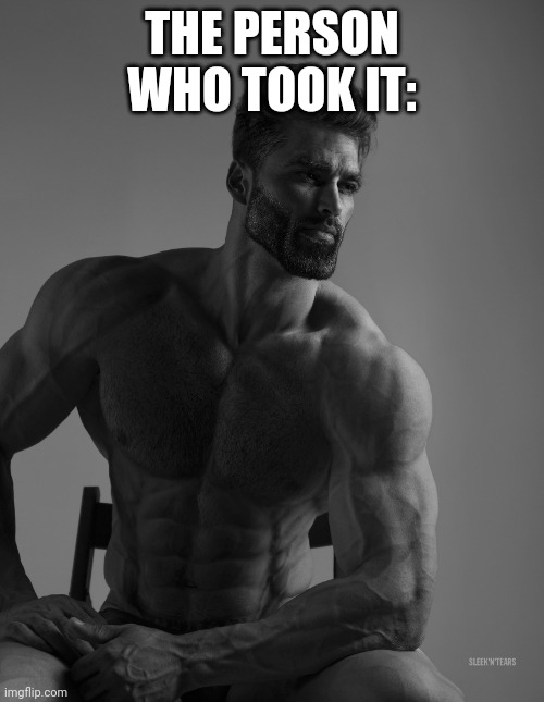 Giga Chad | THE PERSON WHO TOOK IT: | image tagged in giga chad | made w/ Imgflip meme maker