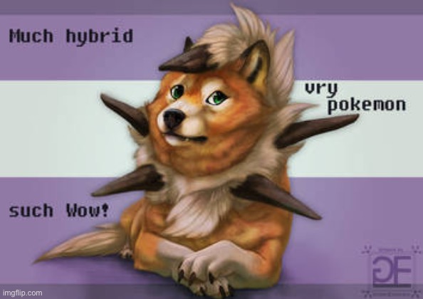 I FOUND THE MOST BEAUTIFUL THING IN MY LIFE ALL HAIL DOGE LYCANROC :DDD | image tagged in lycanroc,doge | made w/ Imgflip meme maker