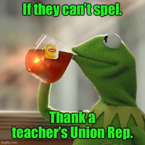 But That's None Of My Business Meme | If they can’t spel. Thank a teacher’s Union Rep. | image tagged in memes,but that's none of my business,kermit the frog | made w/ Imgflip meme maker