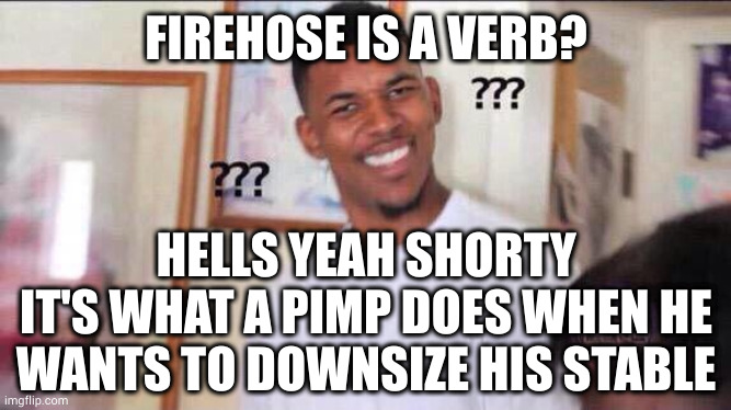 You'll get it when you're older...or you could go and ask your moms! | FIREHOSE IS A VERB? HELLS YEAH SHORTY
IT'S WHAT A PIMP DOES WHEN HE WANTS TO DOWNSIZE HIS STABLE | image tagged in black guy confused | made w/ Imgflip meme maker