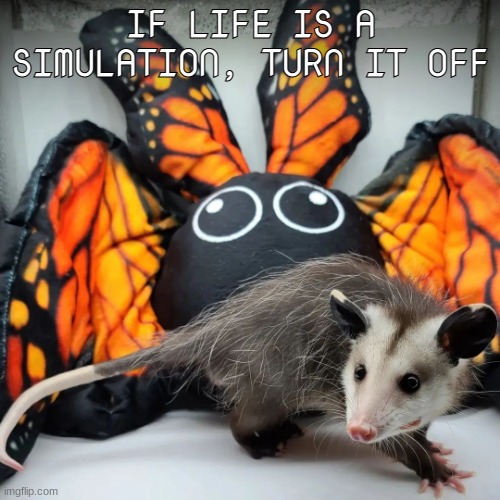 IF LIFE IS A SIMULATION, TURN IT OFF | made w/ Imgflip meme maker