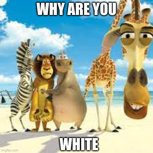 why are you white | WHY ARE YOU; WHITE | image tagged in madagascar | made w/ Imgflip meme maker