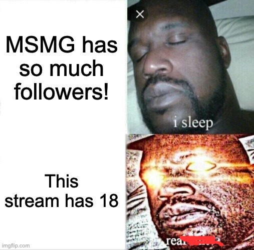 Bois build our army! | MSMG has so much followers! This stream has 18 | image tagged in memes,sleeping shaq | made w/ Imgflip meme maker