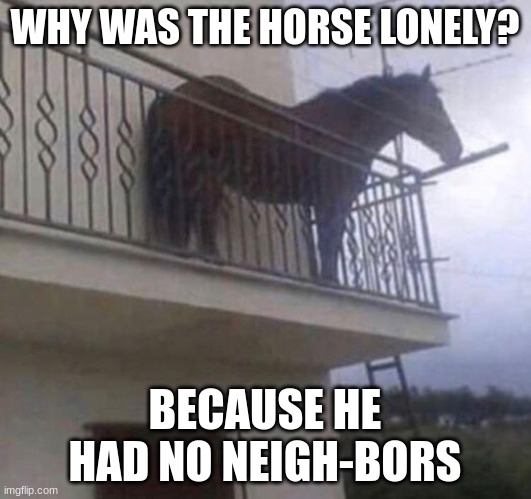I made this up myself a long time ago... | WHY WAS THE HORSE LONELY? BECAUSE HE HAD NO NEIGH-BORS | image tagged in juan | made w/ Imgflip meme maker