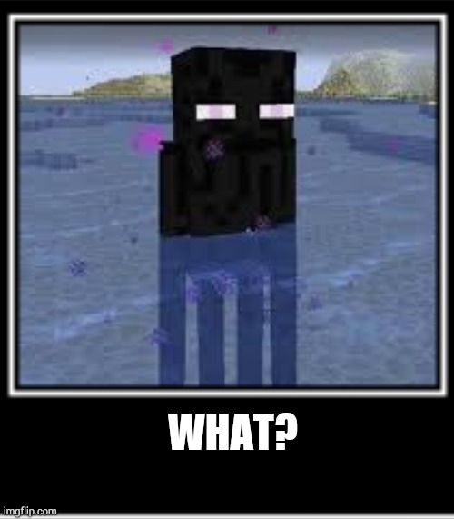 WHAT? | image tagged in minecraft | made w/ Imgflip meme maker