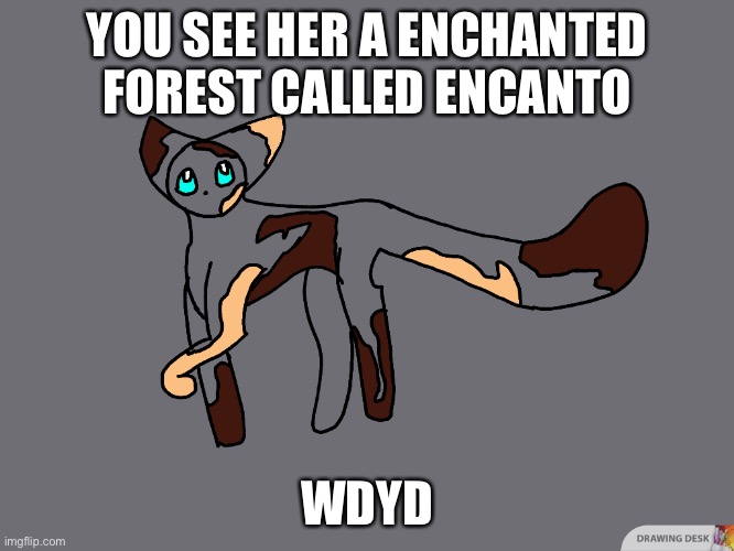 Tawnyheart | YOU SEE HER A ENCHANTED FOREST CALLED ENCANTO; WDYD | image tagged in cats | made w/ Imgflip meme maker