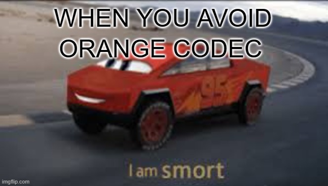 Orange Codec I am smort Meme | WHEN YOU AVOID; ORANGE CODEC | image tagged in i am smort | made w/ Imgflip meme maker