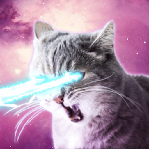 High Quality Laser Cat Blank Meme Template