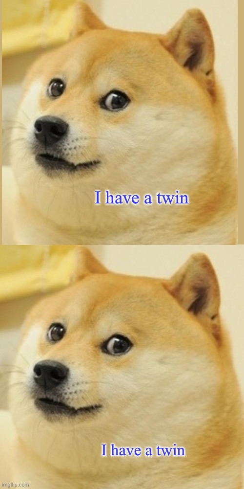 Twins | I have a twin; I have a twin | image tagged in memes,doge | made w/ Imgflip meme maker