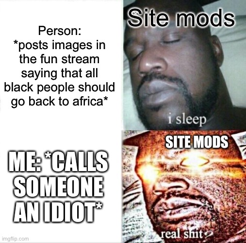 The persons memes about black people going back to Africa were actually  approved, showing that site mods are bad at their job | Site mods; Person: *posts images in the fun stream saying that all black people should go back to africa*; SITE MODS; ME: *CALLS SOMEONE AN IDIOT* | image tagged in memes,sleeping shaq | made w/ Imgflip meme maker