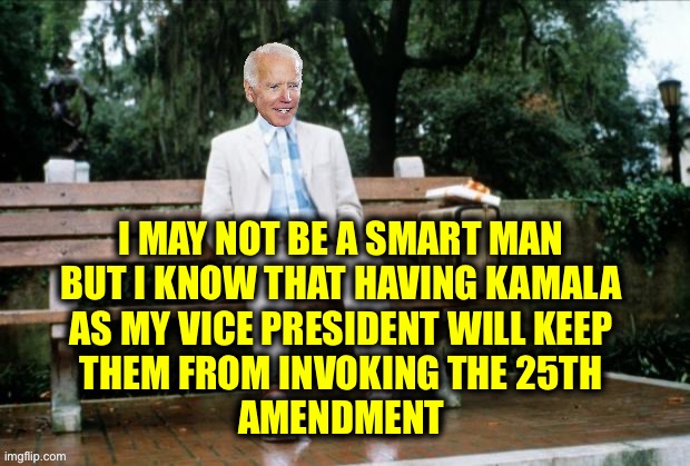 Won’t do it.  Wouldn’t be prudent. | I MAY NOT BE A SMART MAN 
BUT I KNOW THAT HAVING KAMALA 
AS MY VICE PRESIDENT WILL KEEP 
THEM FROM INVOKING THE 25TH 
AMENDMENT | image tagged in forrest biden | made w/ Imgflip meme maker