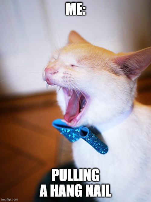 Sreaming Cat | ME:; PULLING A HANG NAIL | image tagged in sreaming cat | made w/ Imgflip meme maker
