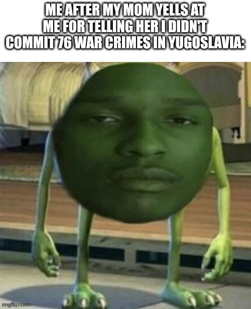 Mike Wazowski Bruh | ME AFTER MY MOM YELLS AT ME FOR TELLING HER I DIDN'T COMMIT 76 WAR CRIMES IN YUGOSLAVIA: | image tagged in mike wazowski bruh | made w/ Imgflip meme maker