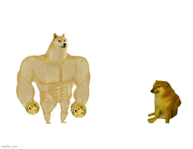 rich muscles vs cheems | image tagged in doggo and cheems,dogecoin,cheems,buff doge vs cheems,buff doge,rich | made w/ Imgflip meme maker