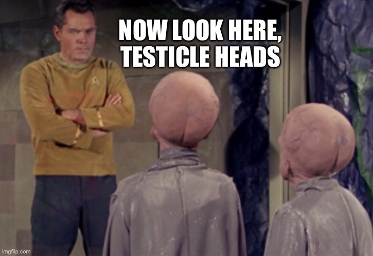 Star Trek Aliens | NOW LOOK HERE,
TESTICLE HEADS | image tagged in star trek aliens | made w/ Imgflip meme maker