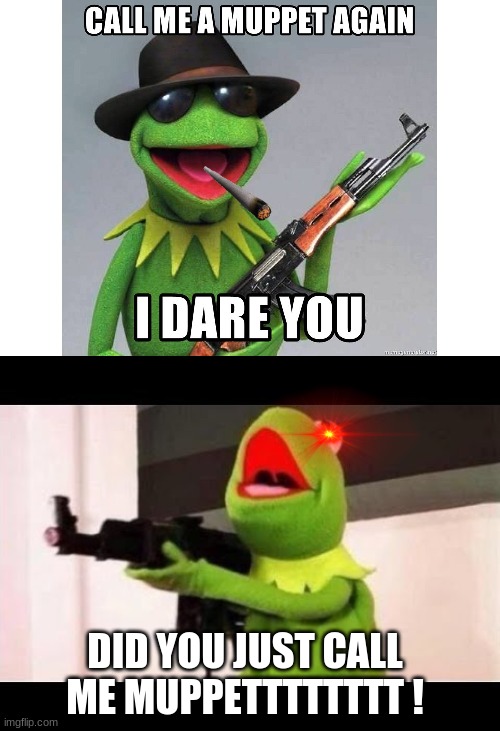 kermit | DID YOU JUST CALL ME MUPPETTTTTTTT ! | image tagged in kermit the frog | made w/ Imgflip meme maker