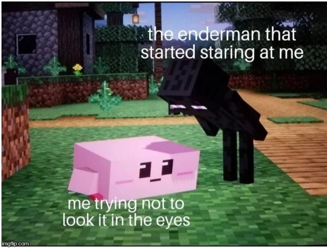 Usually they attack you for no reason | image tagged in enderman,minecraft | made w/ Imgflip meme maker
