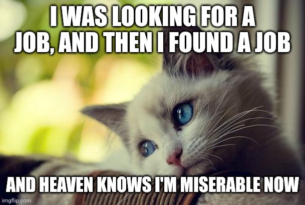 The Smiths kitty feels angst |  I WAS LOOKING FOR A JOB, AND THEN I FOUND A JOB; AND HEAVEN KNOWS I'M MISERABLE NOW | image tagged in memes,first world problems cat,the smiths,cat,sad,morrissey | made w/ Imgflip meme maker
